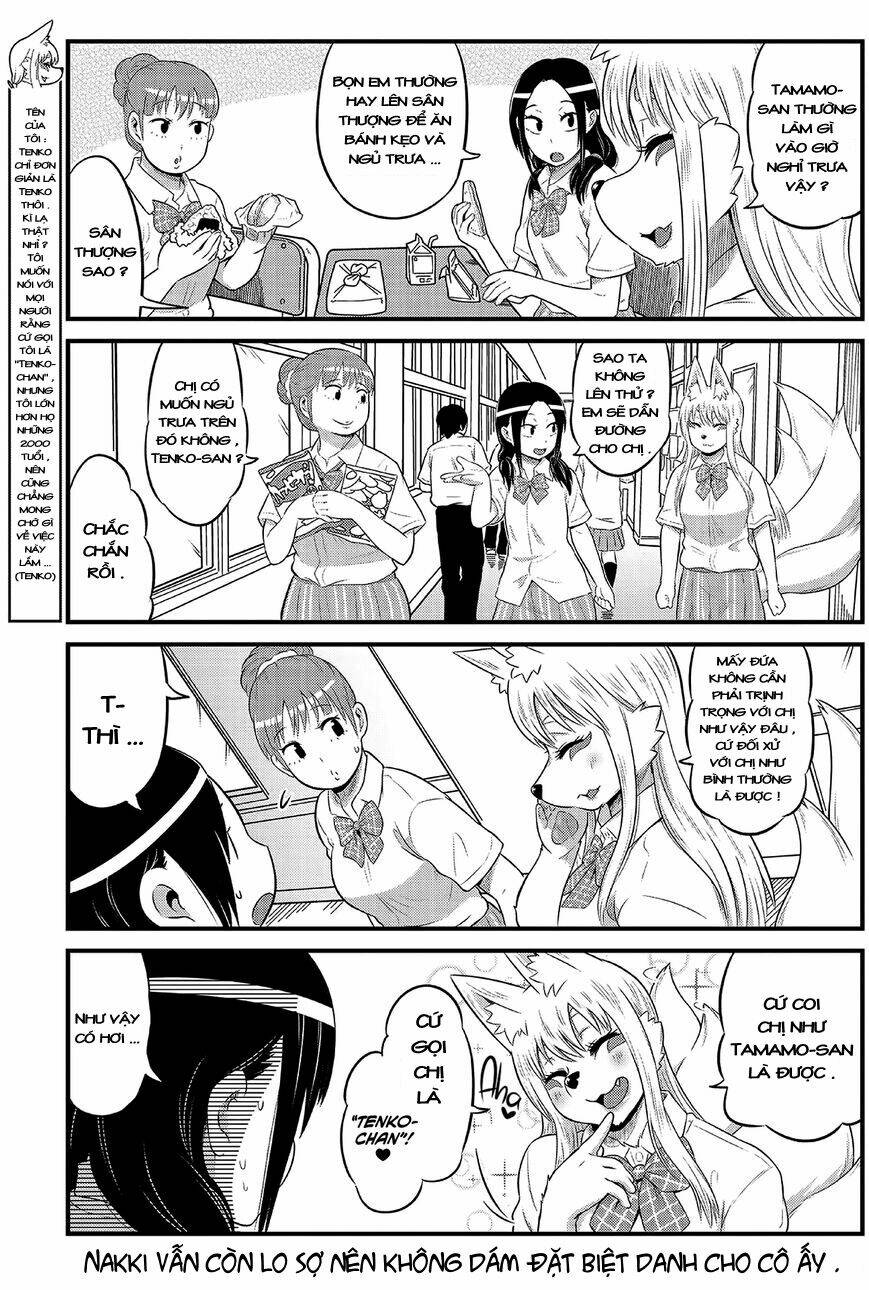 high school inari tamamo-chan ! chapter 11 4