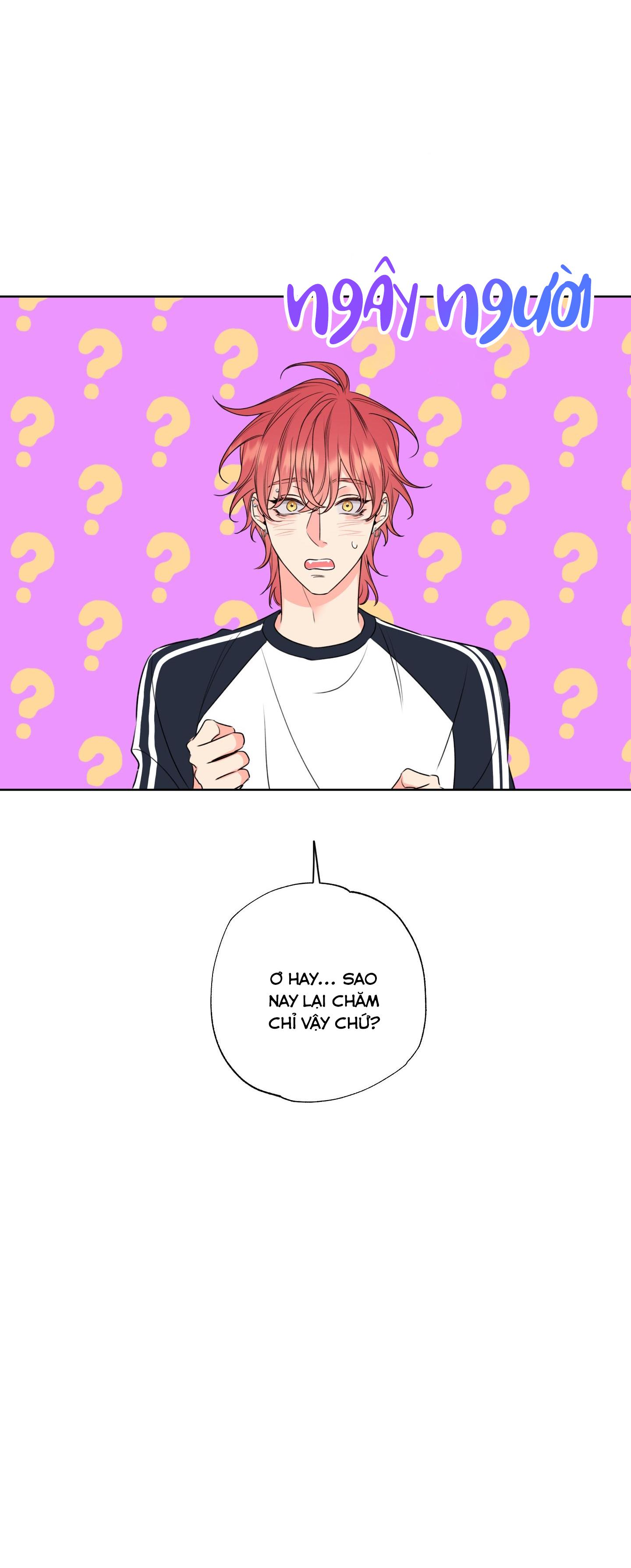 honey trouble - rắc rối ngọt ngào chapter 6 21