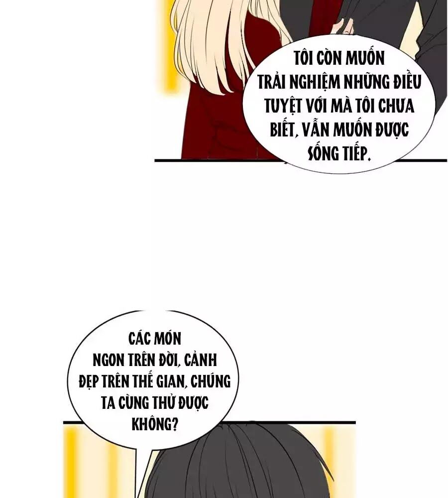 công chúa nữ vương mệnh chapter 114 7