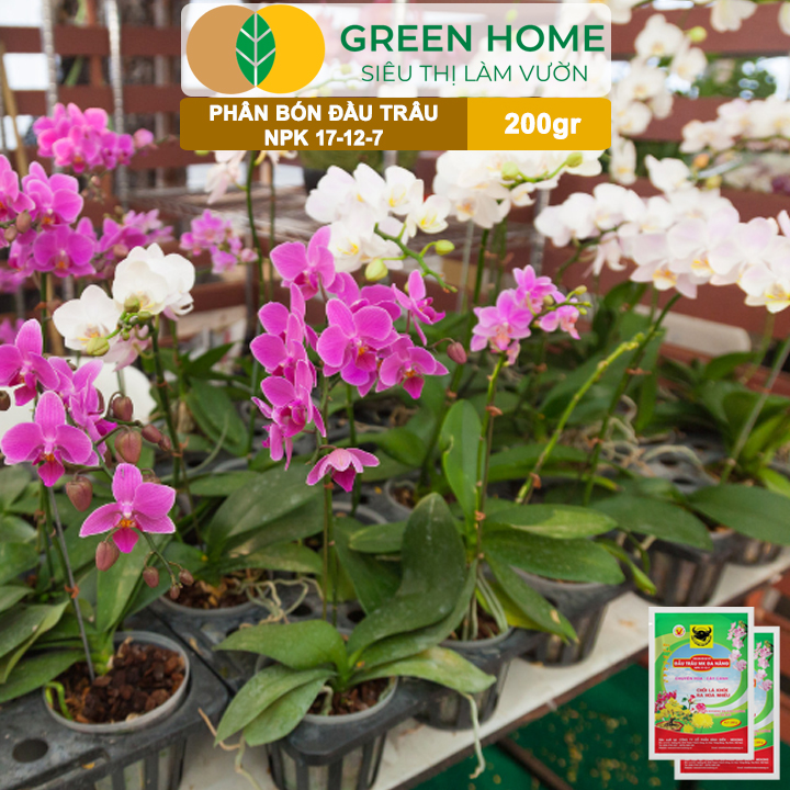 Phân NPK 17-12-7 Greenhome, Đầu Trâu, Bao 200Gr, Chồi Lá Khỏe - Ra Hoa Nhiều, Chuyên Hoa Và Cây Cảnh