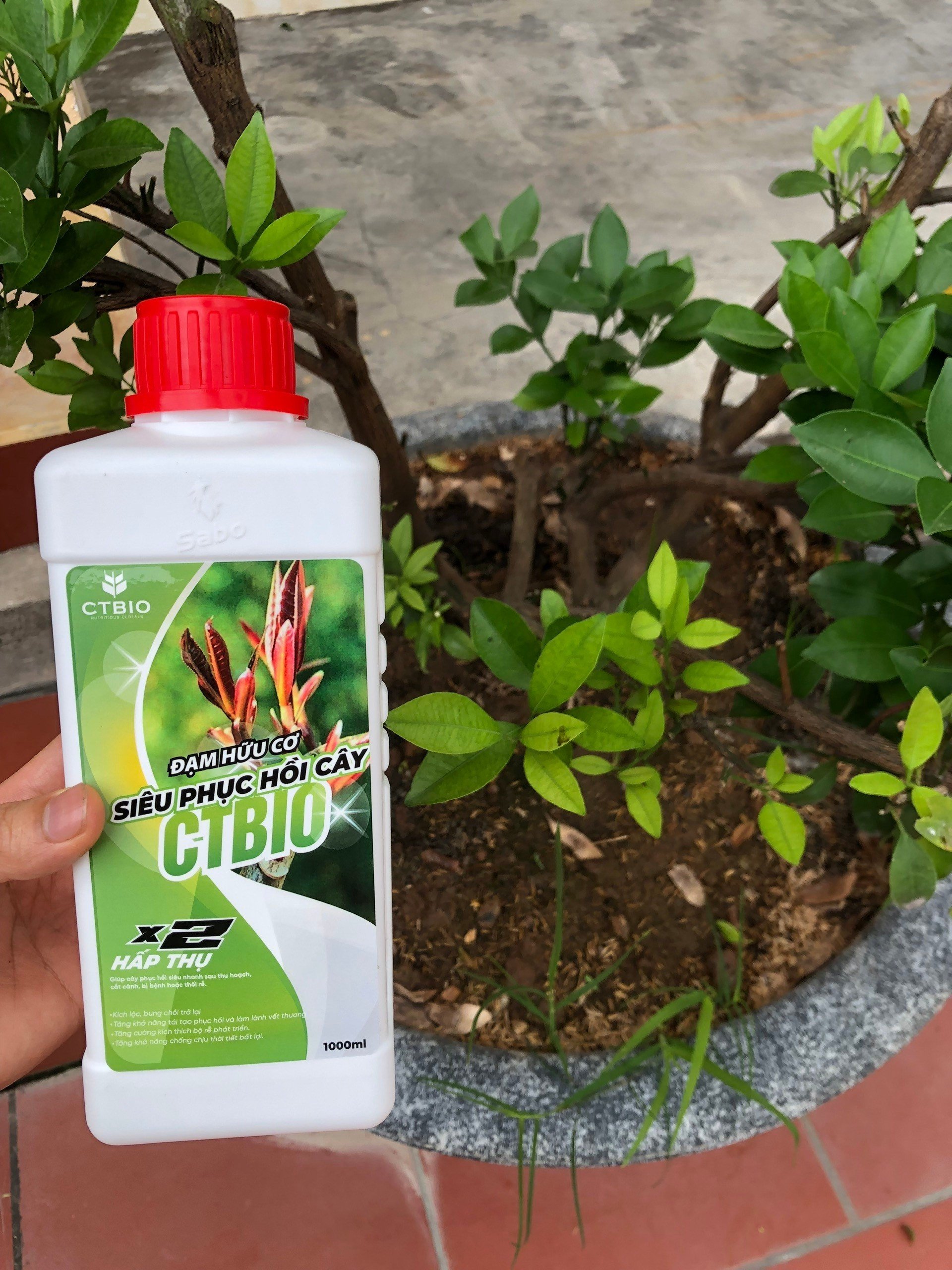 SIÊU PHỤC HỒI CÂY CTBIO - phân hữu cơ