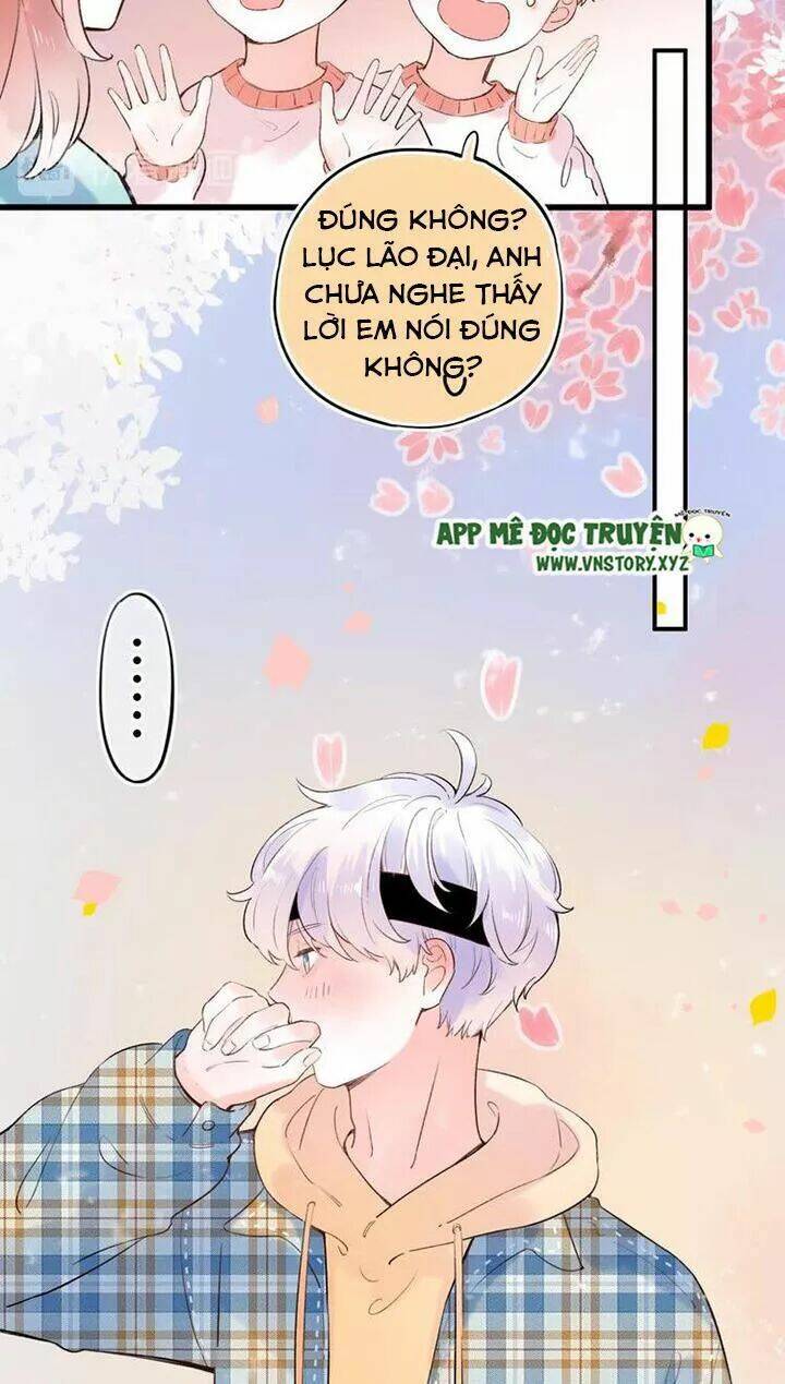 trạch thượng tịch mịch huỳnh hỏa chapter 62 22