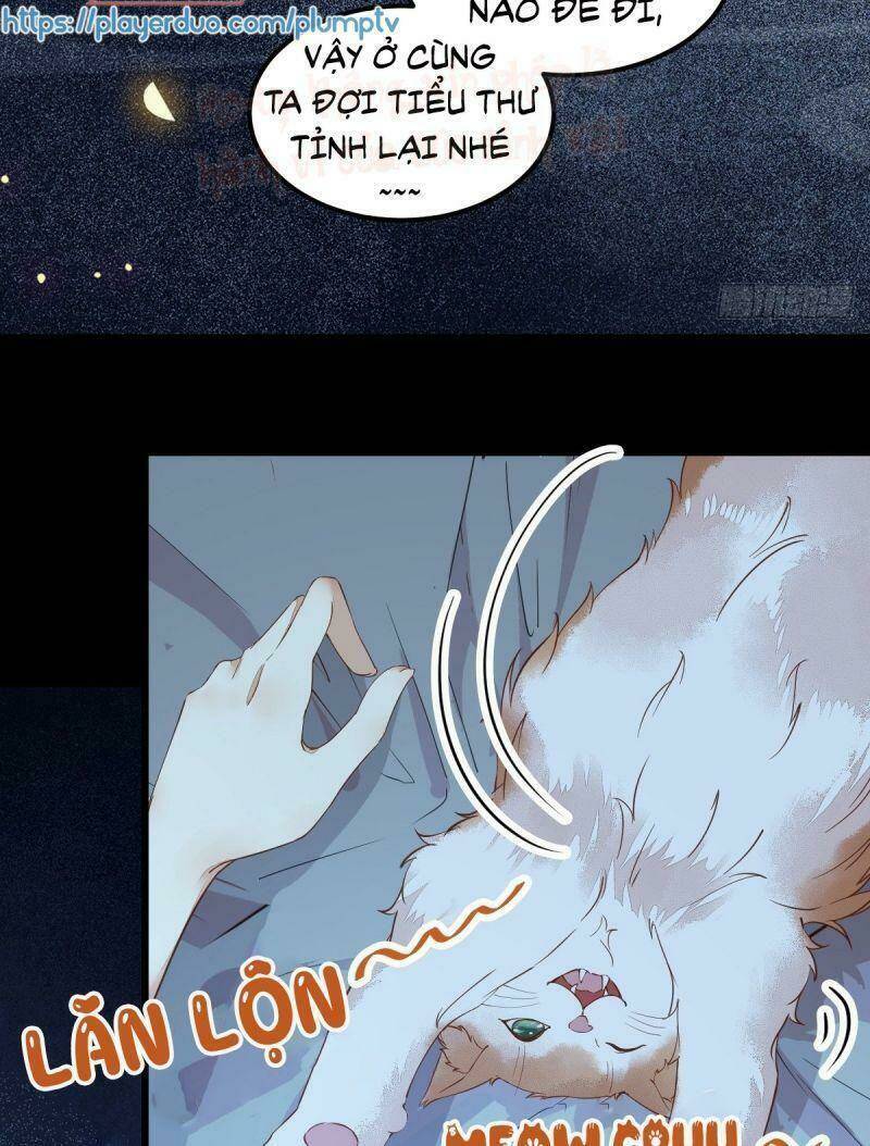 sát thủ vương phi không dễ chọc chapter 38 19