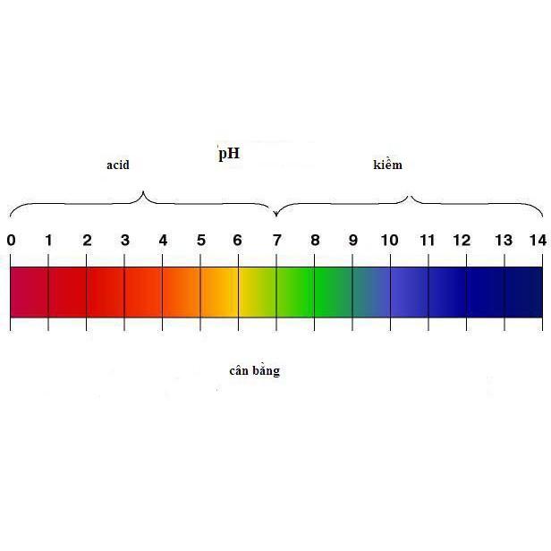 Giấy Quỳ Tím Thử Độ pH Thang Đo Từ 1 Đến 14 - 80 miếng kèm bảng màu