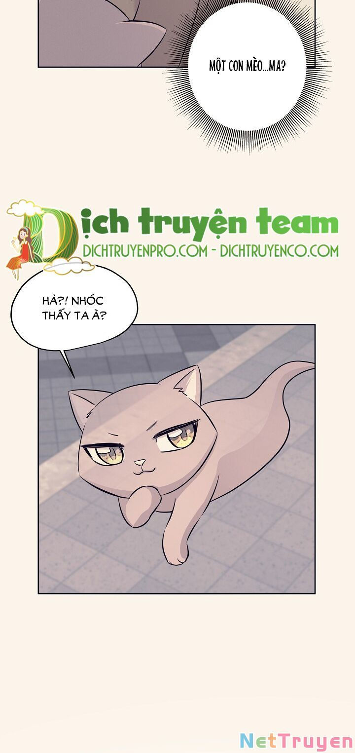 cuộc sống kỳ thú chapter 76 28