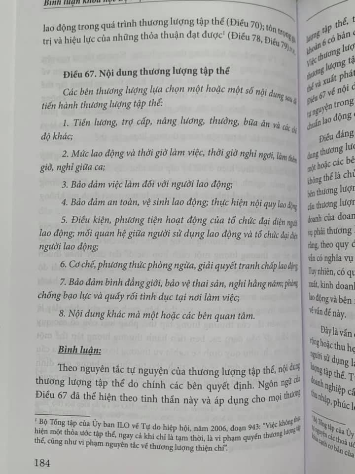 Bình luận khoa học Bộ luật lao động 2019