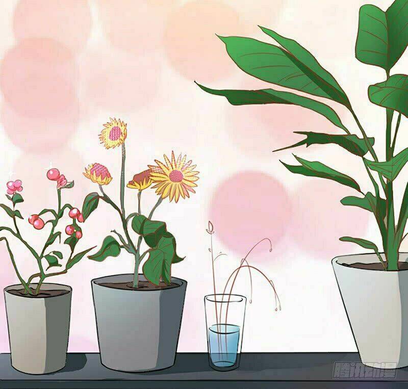 danh môn độc sủng ái thê chapter 8 38