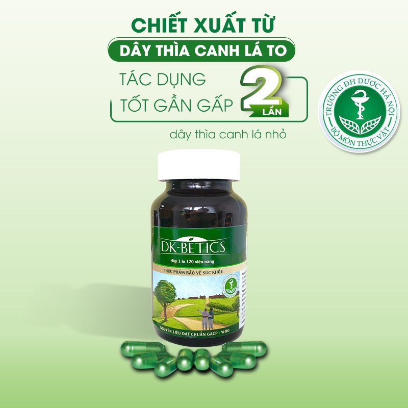 COMBO 3 HỘP Viên tiểu đường dây thìa canh lá to DK Pharma DK Betics, Hỗ trợ hạ và ổn định đường huyết - Hộp lớn 120 viên