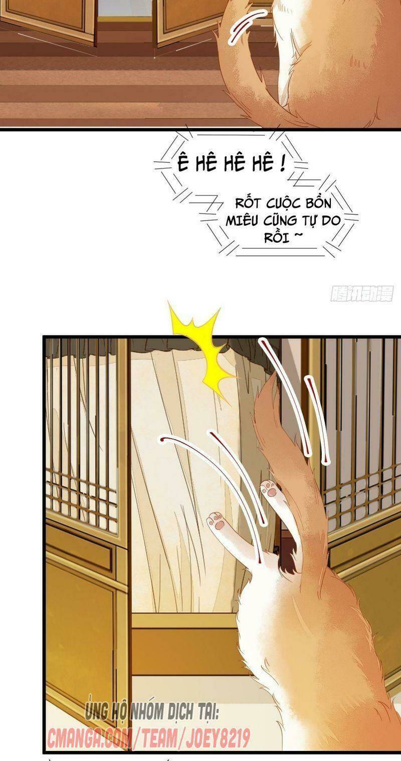 sát thủ vương phi không dễ chọc chapter 41 22