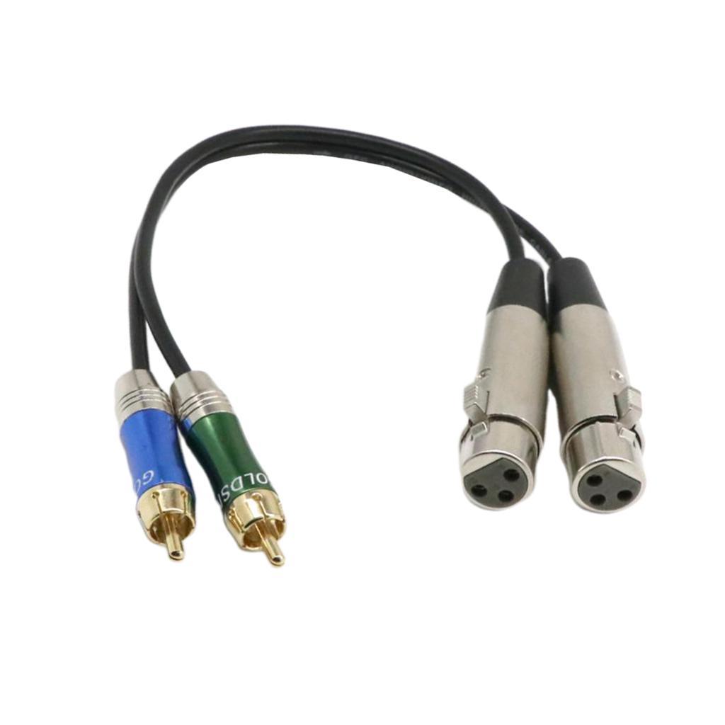 1ft 2 XLR Female to 2 RCA Male Patch Cable -Dual XLRF to Dual RCA Audio Cord