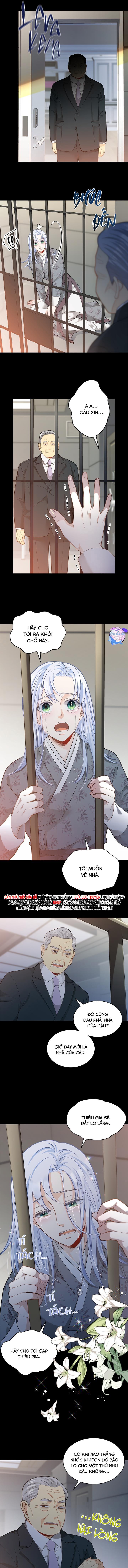 hôn nhân bị đánh cắp của hồ ly chapter 38 7
