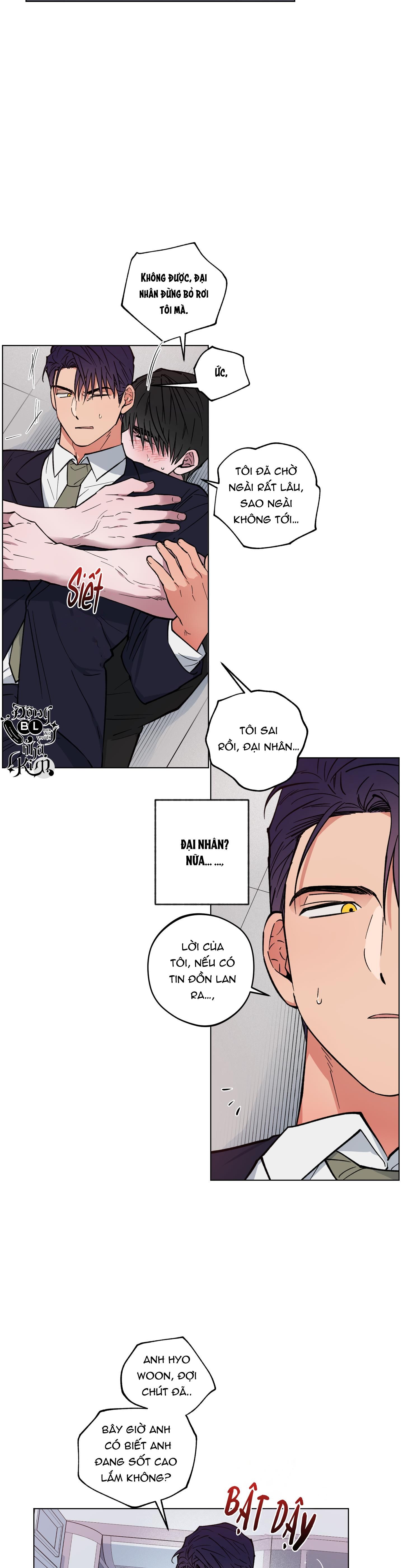 bình minh của rồng chapter 11 16