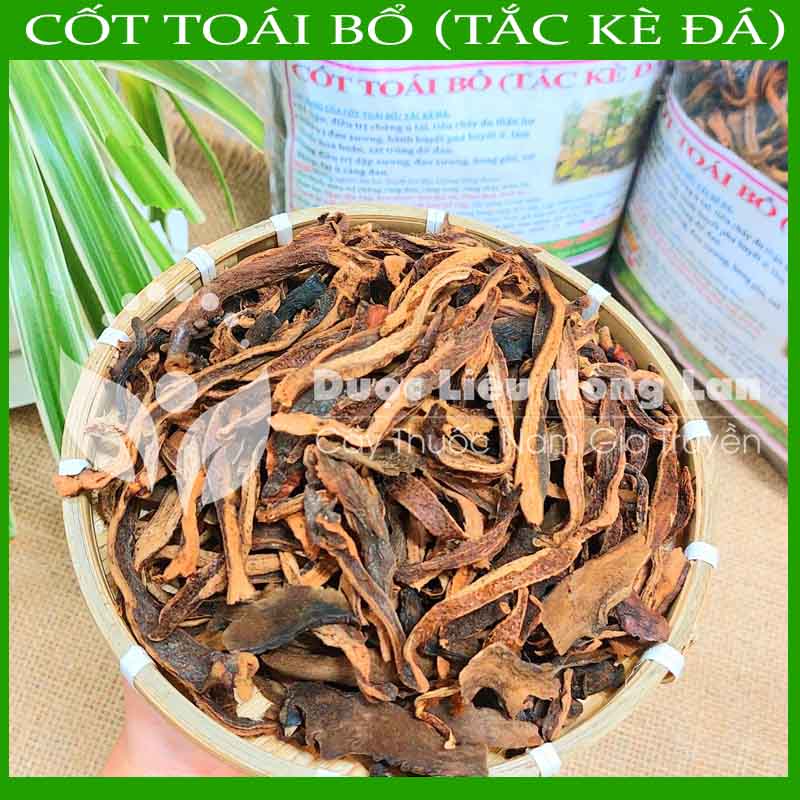 Tắc Kè Đá (Cốt Toái Bổ) khô 1kg