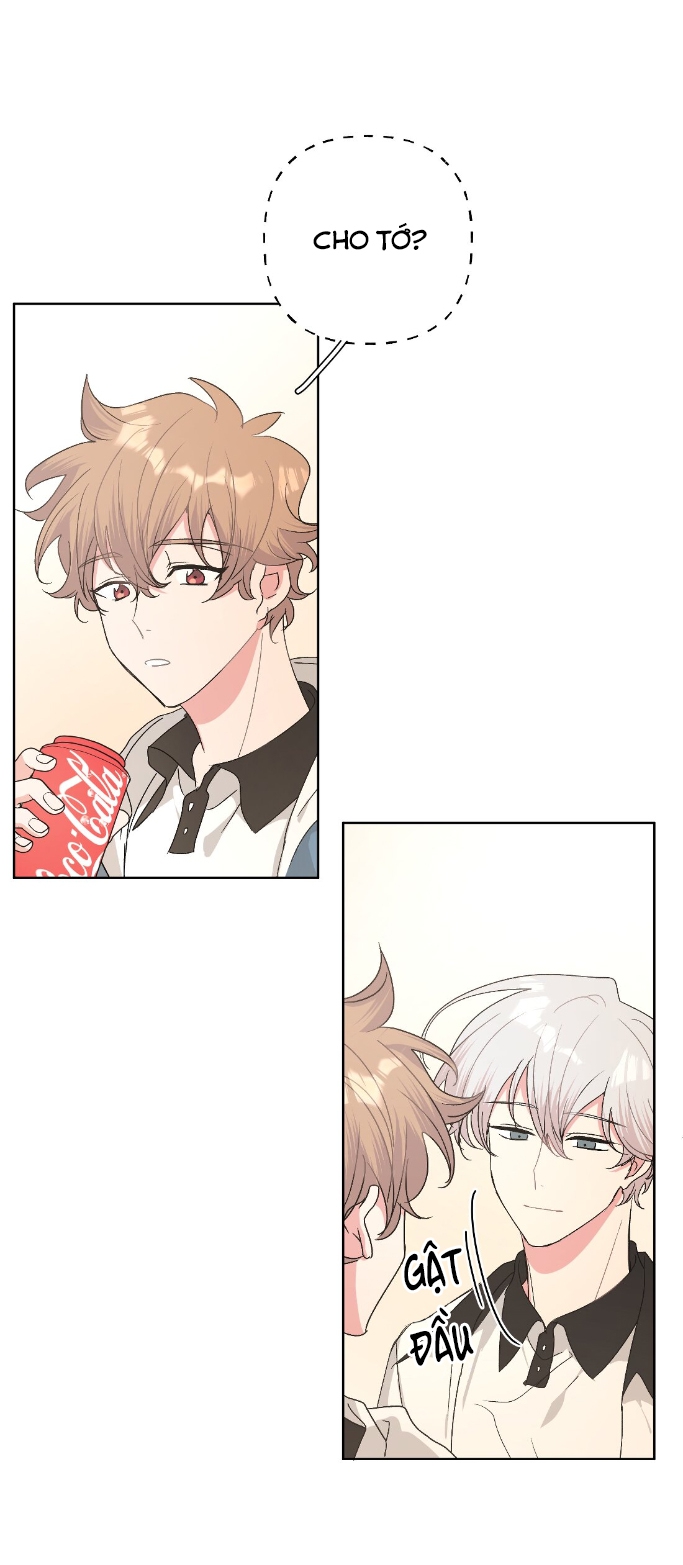 đừng nói yêu tôi (don't say you love me) chapter 12 34