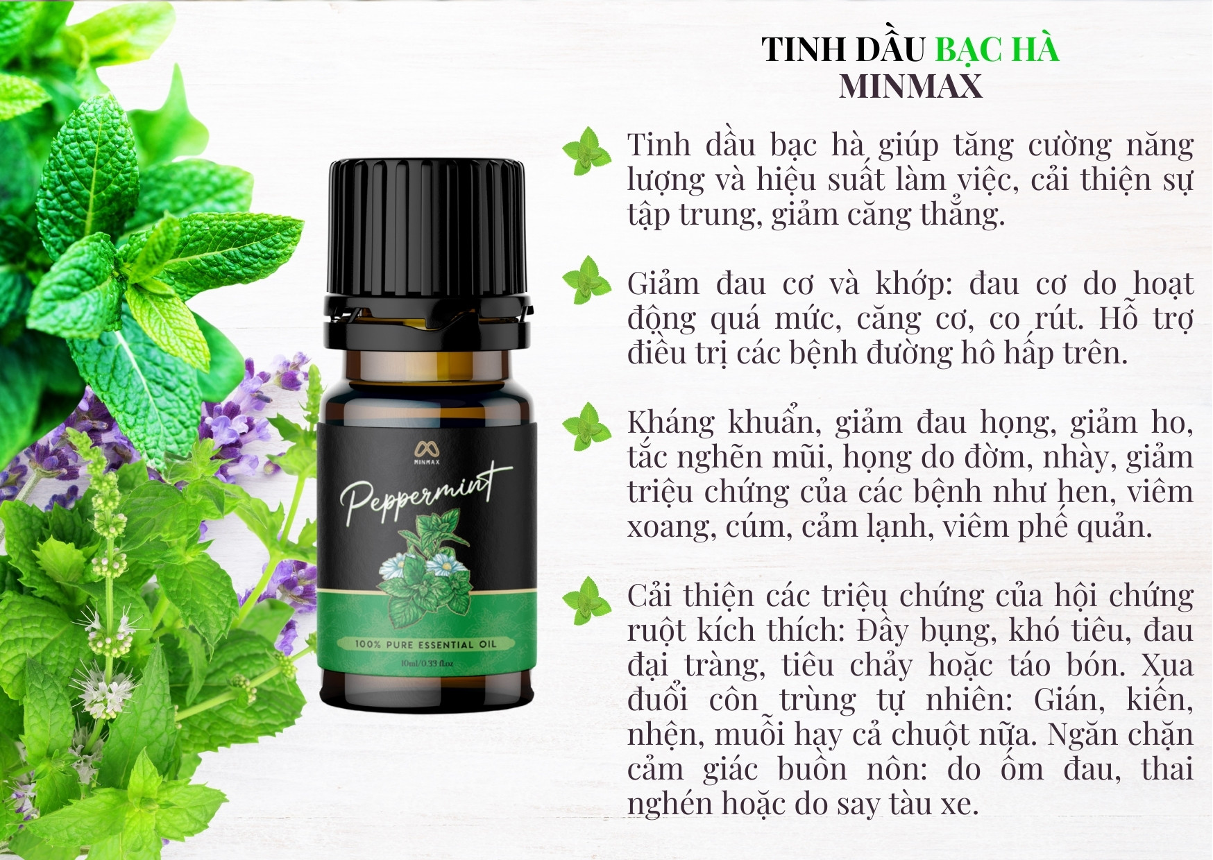 Tinh dầu Bạc Hà Minmax 10ml