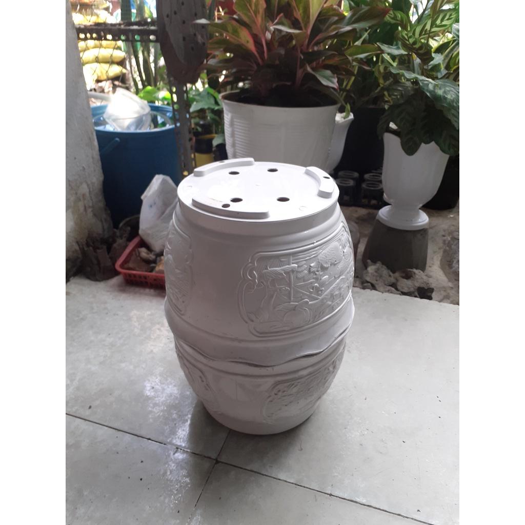 Combo 2 chậu nhựa tròn trồng cây