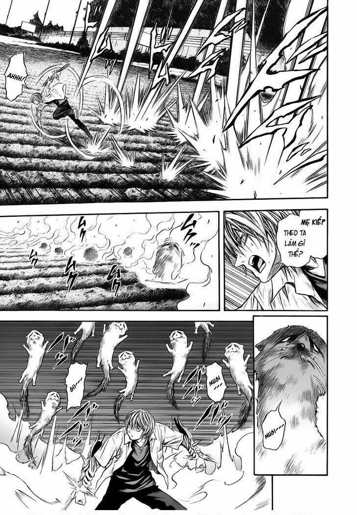 otogi matsuri chapter 46 14