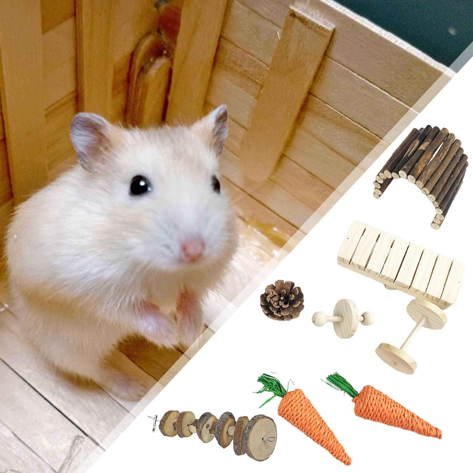 8Pcs Hamster Chew Toys Set Bunnies Groundhog Guinea Pig Wooden Molar Toys