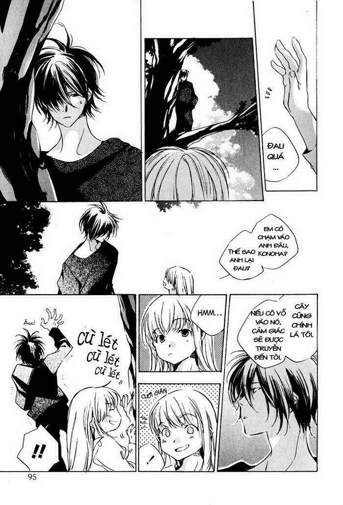 kon no ki konoha leaves of the deep blue tree chapter 1 18