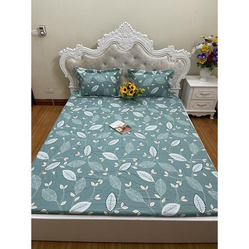 Bộ ga chun trơn và 2 vỏ gối 100% cotton hàn các kích thước