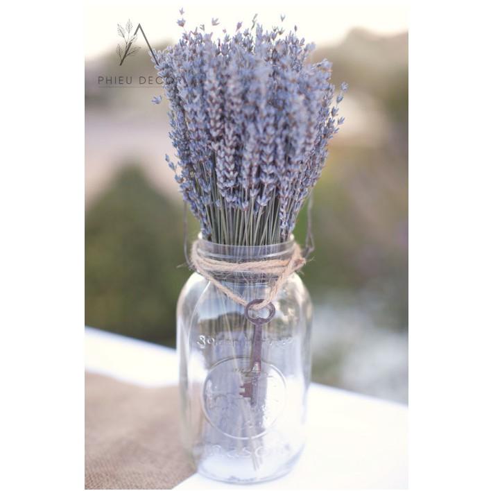 LAVENDERHoa Oải Hương Khô