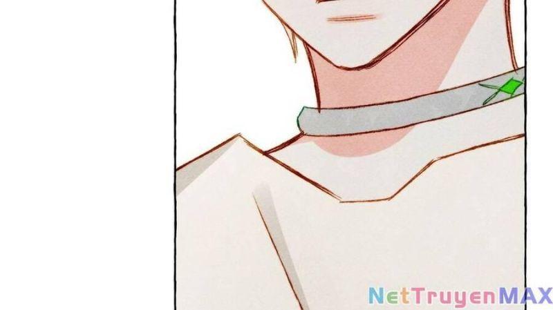 nuôi dưỡng một hắc long chapter 68.2 62