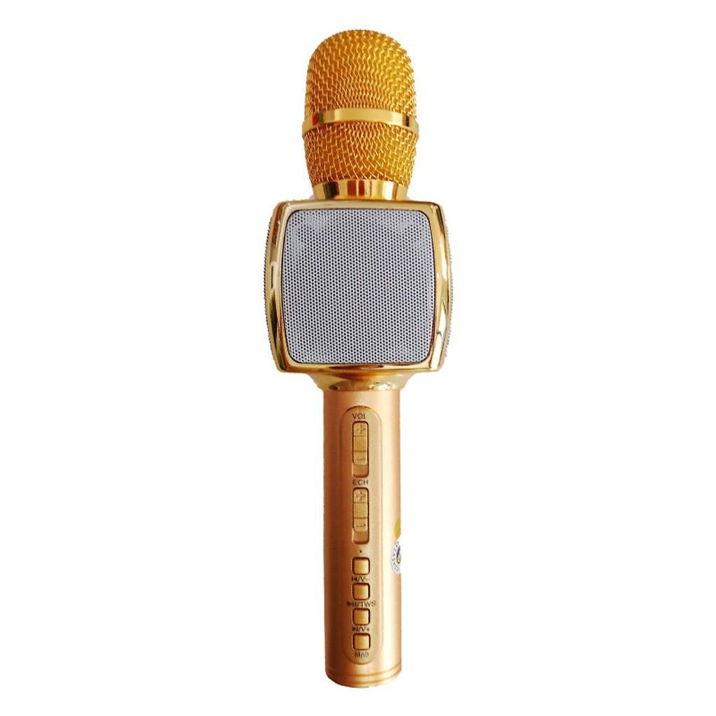 Micro Karaoke Kèm Loa Bluetooth SD16 Cực Hay