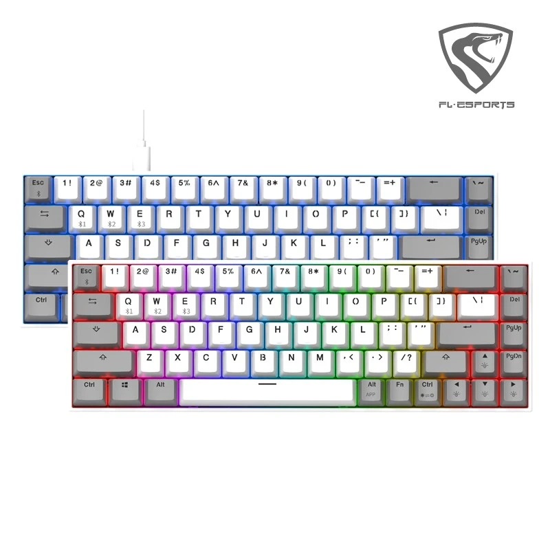 Bàn phím máy tính FL-Esports F12 RGB (White and Grey/Cool Mint/White and Black/Black Ovilian)_Mới, hàng chính hãng