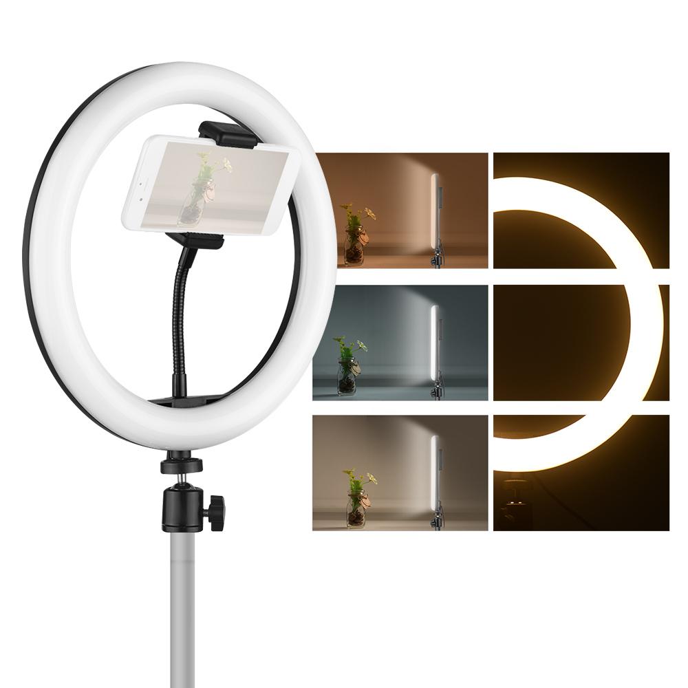 Đèn chiếu video vòng LED 10 inch để bàn 3 Chế độ chiếu sáng USB có thể điều chỉnh độ sáng Được cung cấp năng lượng với Giá đỡ điện thoại Bộ chuyển đổi đầu bóng