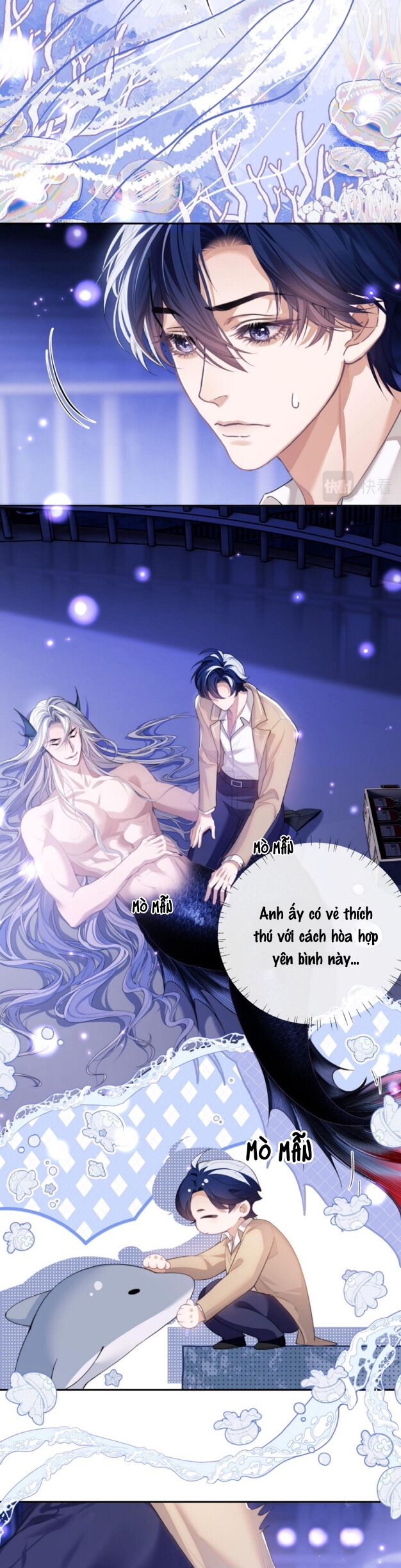 nhân ngư dessaro chapter 4 13