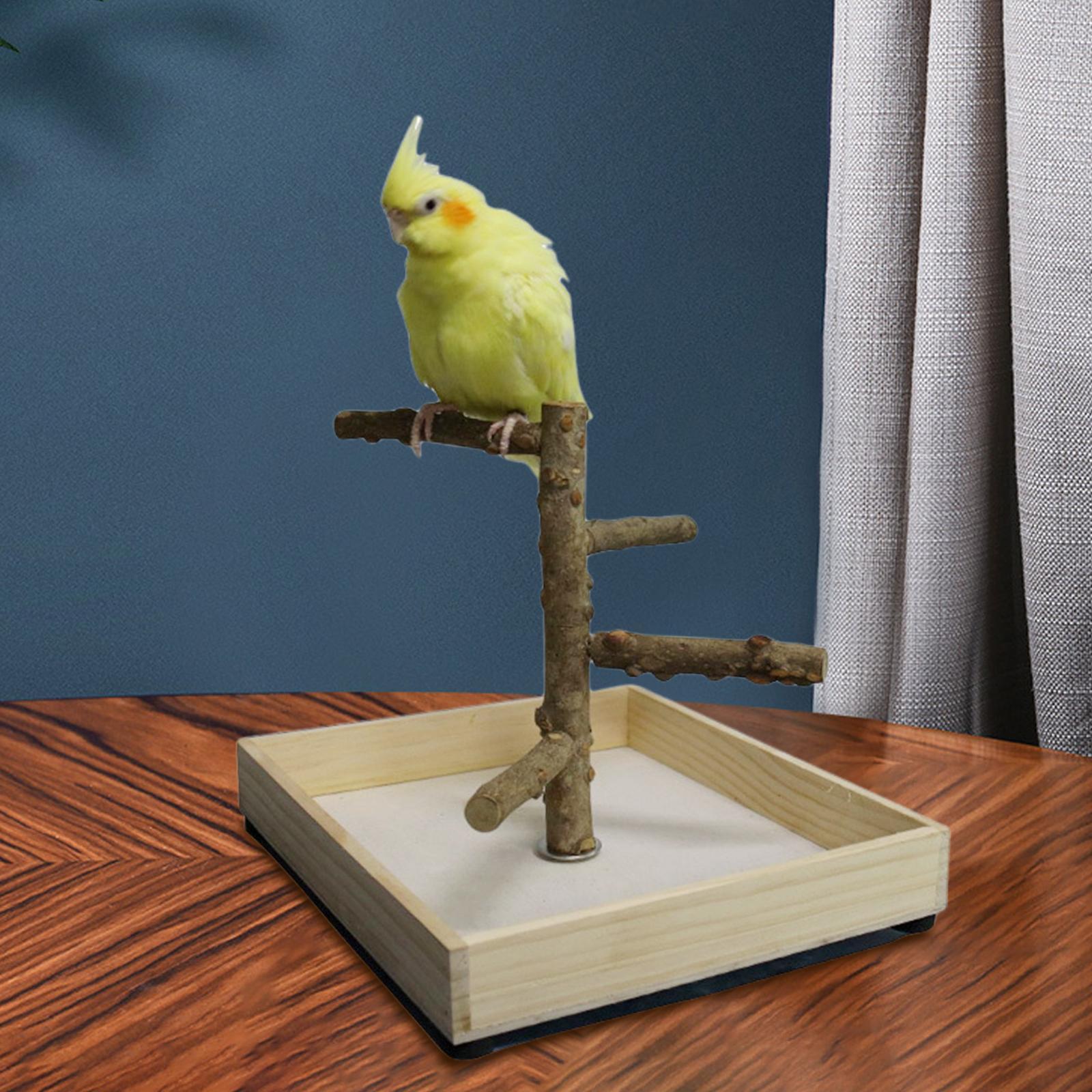 Pack of 2 Bird Perch Bird Training Stand Platform Playground Wooden Branches