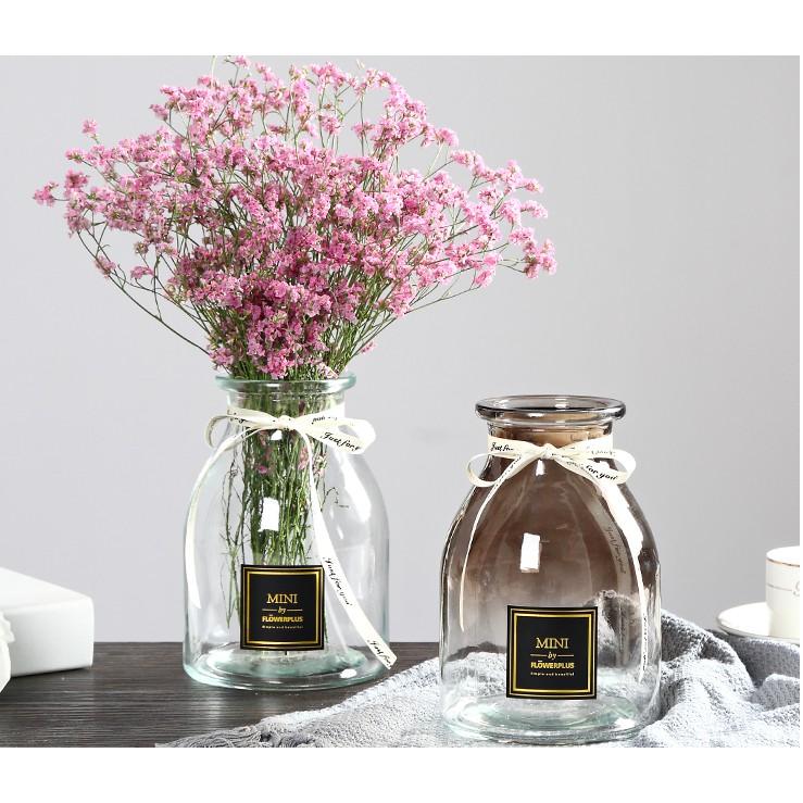 Lọ hoa, bình hoa thủy tinh cao cấp thắt nơ trang trí nội thất Mini Flower Plus Vintage