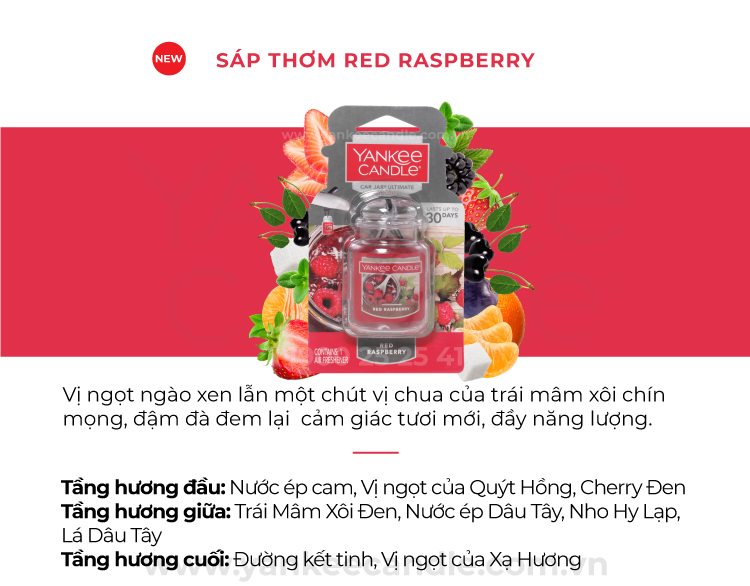 Sáp thơm xe Yankee Candle - Red Raspberry