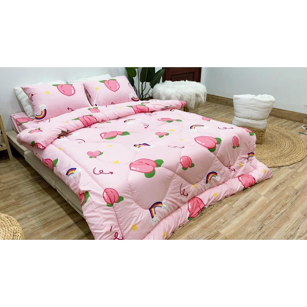 Sét chăn ga bọc đệm cottong poly 5 món nhiều kích thước
