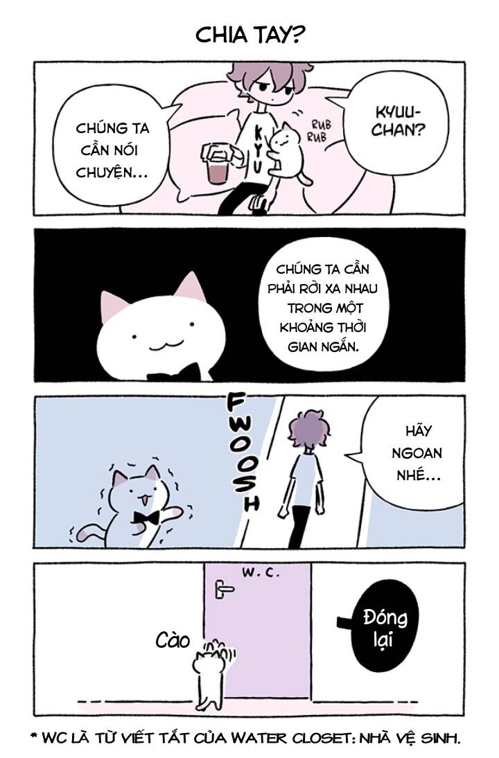 chú mèo kỳ diệu kyuu-chan chapter 708 3