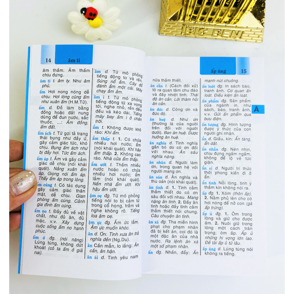 Sách - Từ Điển Tiếng Việt dành cho học sinh - ndbooks
