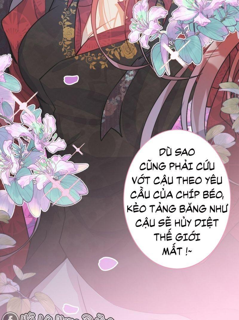 [15+] xuyên đến thế giới nào cũng là hắc liên hoa của anh chapter 3 59