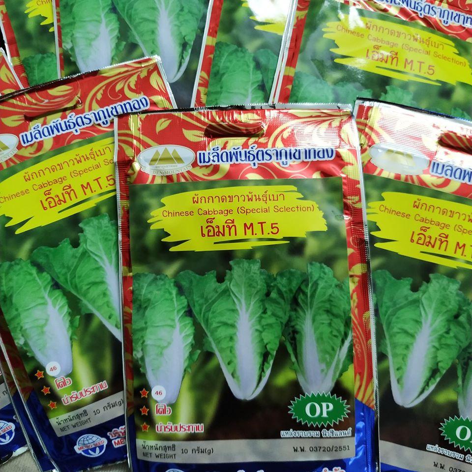 HẠT GIỐNG CẢI THẢO CHỊU NHIỆT