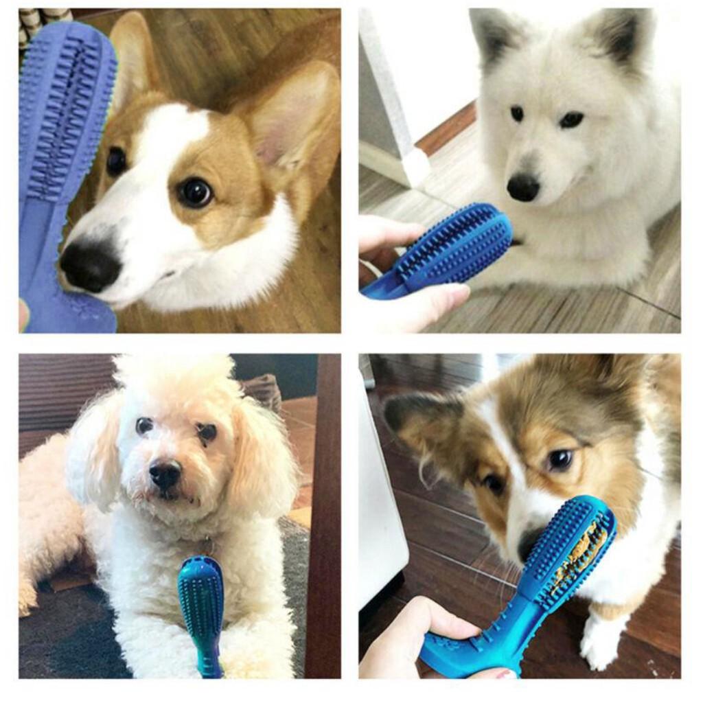 Dụng cụ đánh răng cho chó DOG TOOTHBRUSH