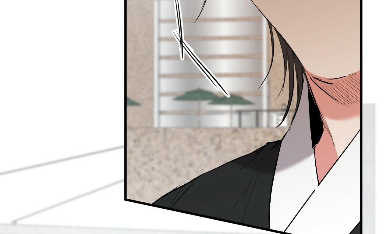 đàn thỏ của habibi chapter 50 187