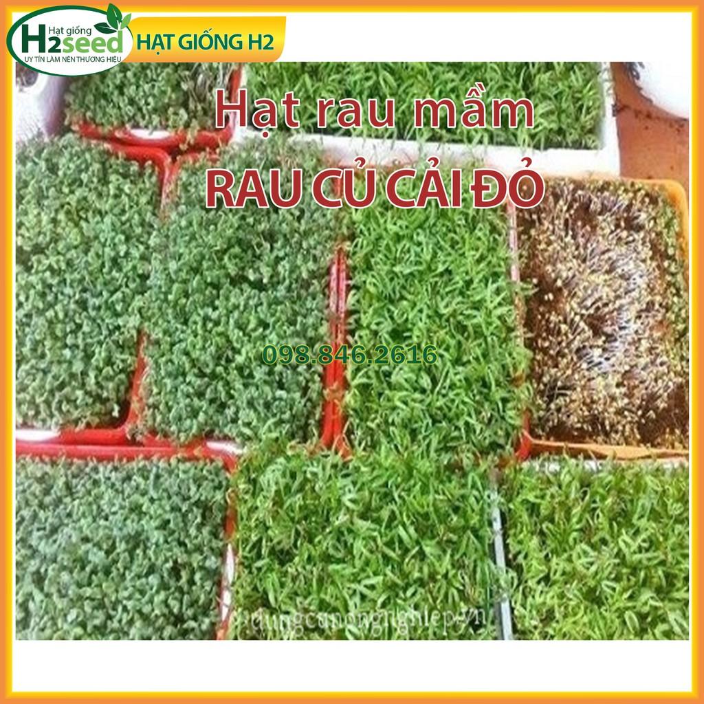 Gói 50g Hạt rau mầm rau Củ cải Đỏ - Hạt rau chất lượng cao, nảy mầm đồng đều