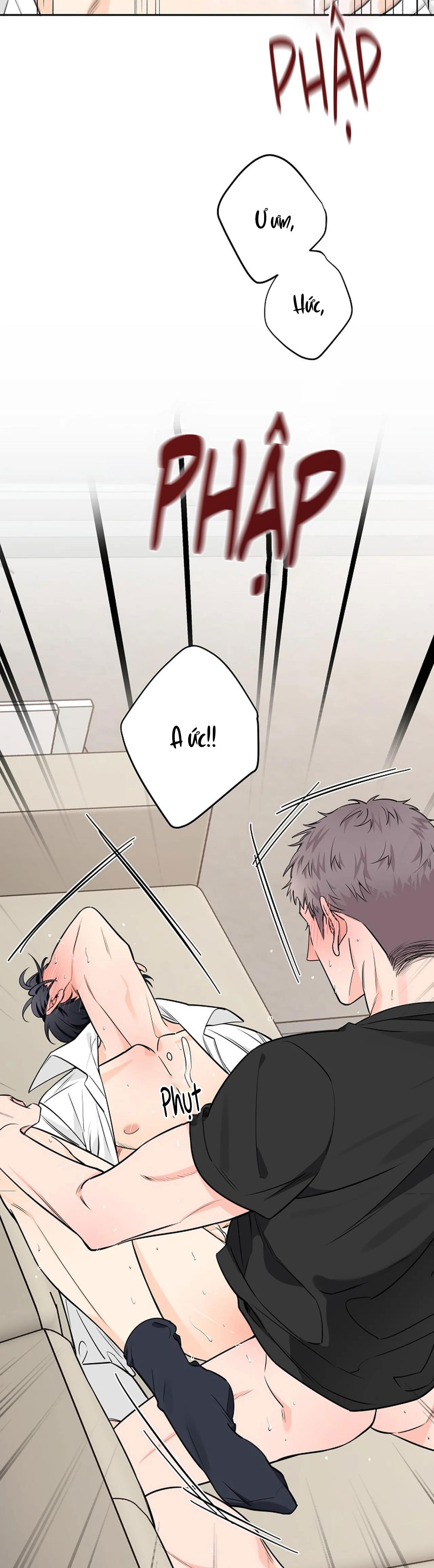 đêm dịu dàng chapter 31 31