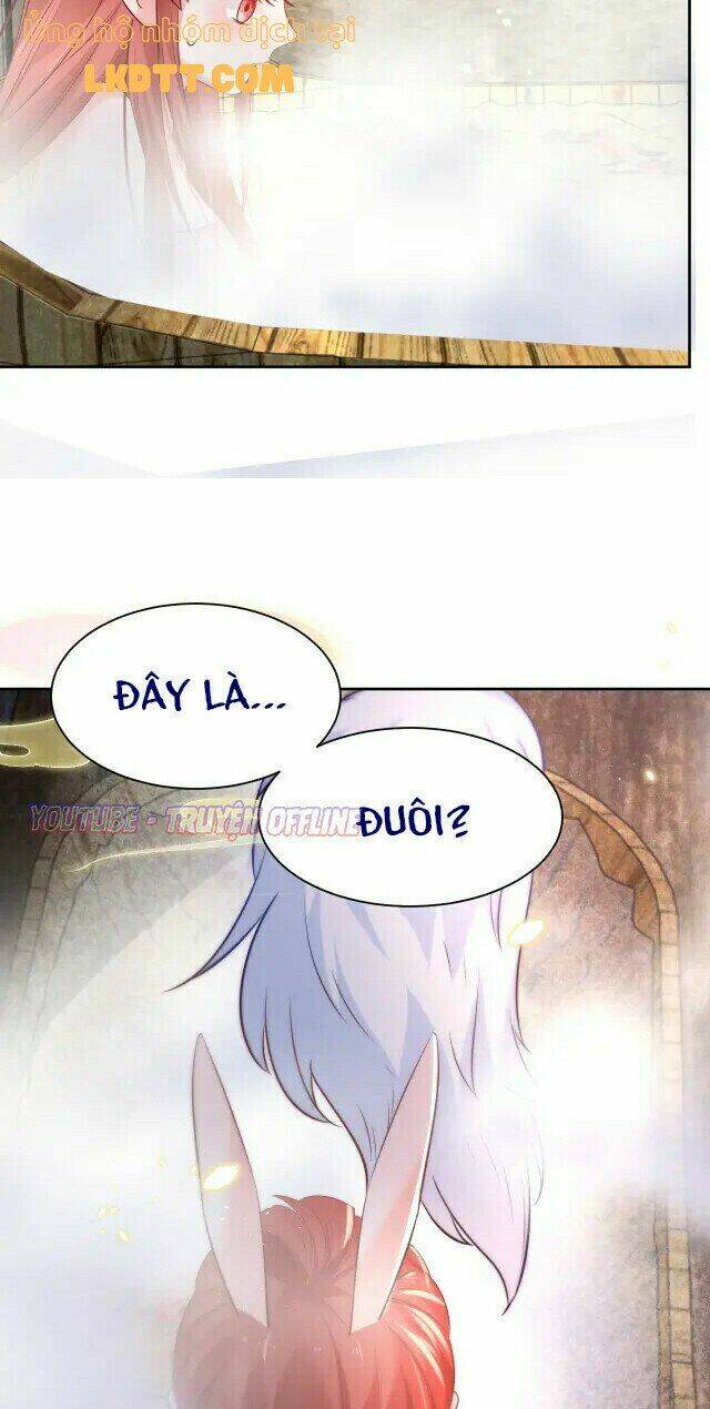 hắc hóa nam chính trực tuyến nuôi thỏ chapter 31 27