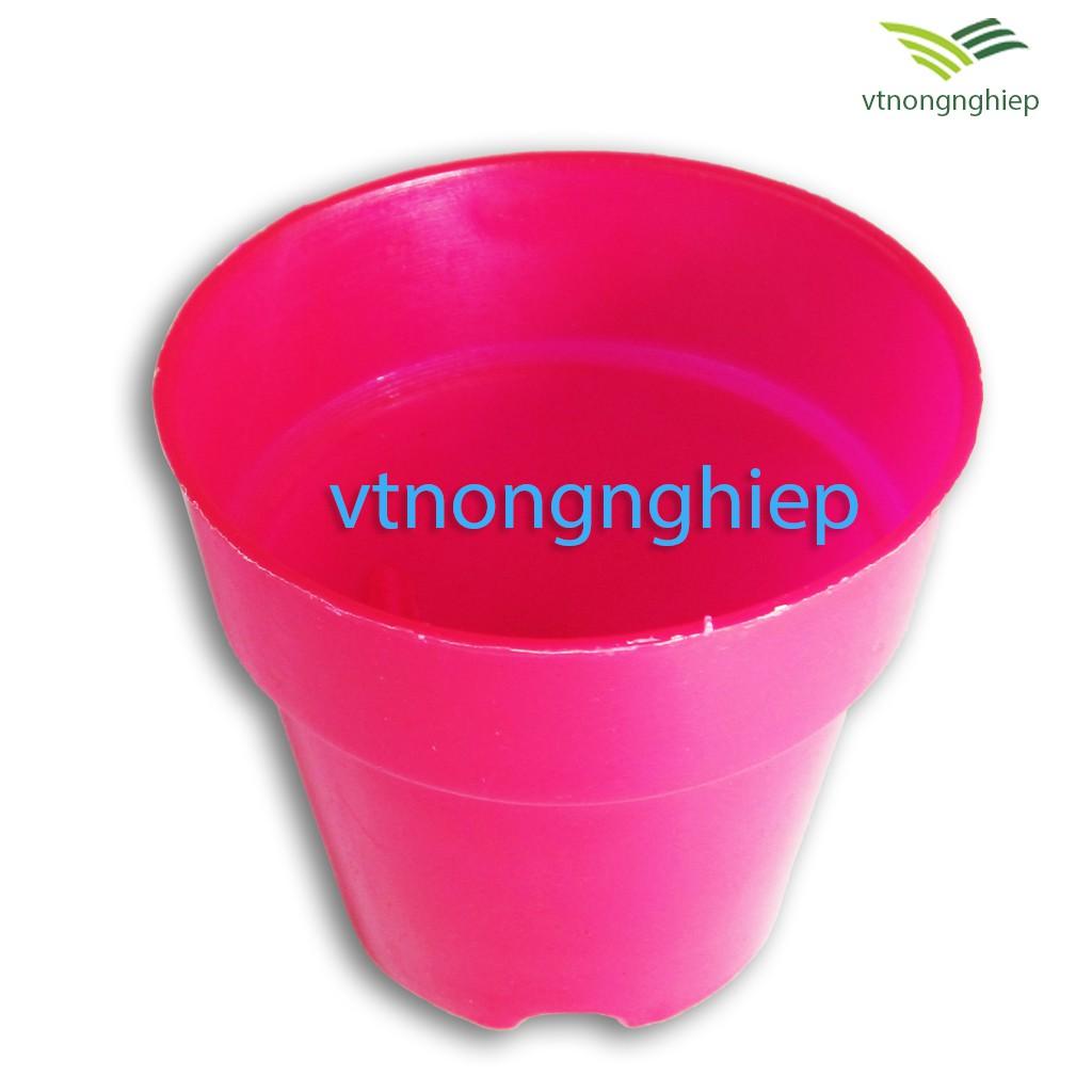 5 chậu nhựa trồng cây mini, trồng sen đá, xương rồng, phi 7.5cm
