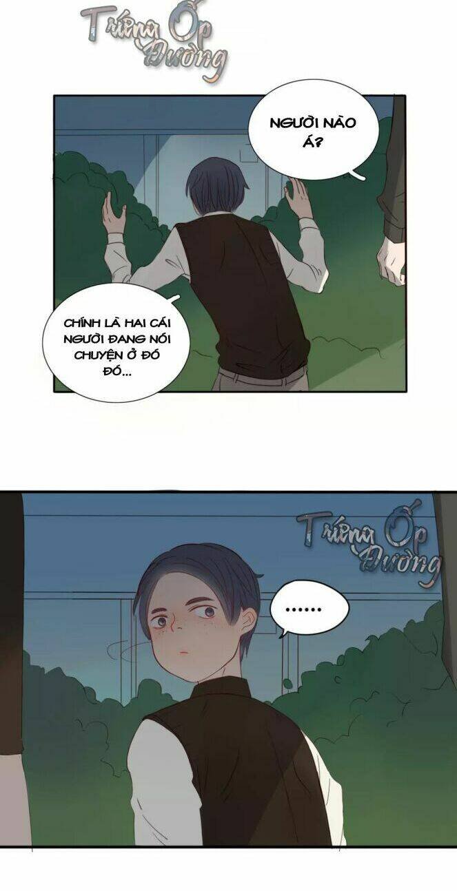 ta chỉ muốn giết ngươi chapter 4 12