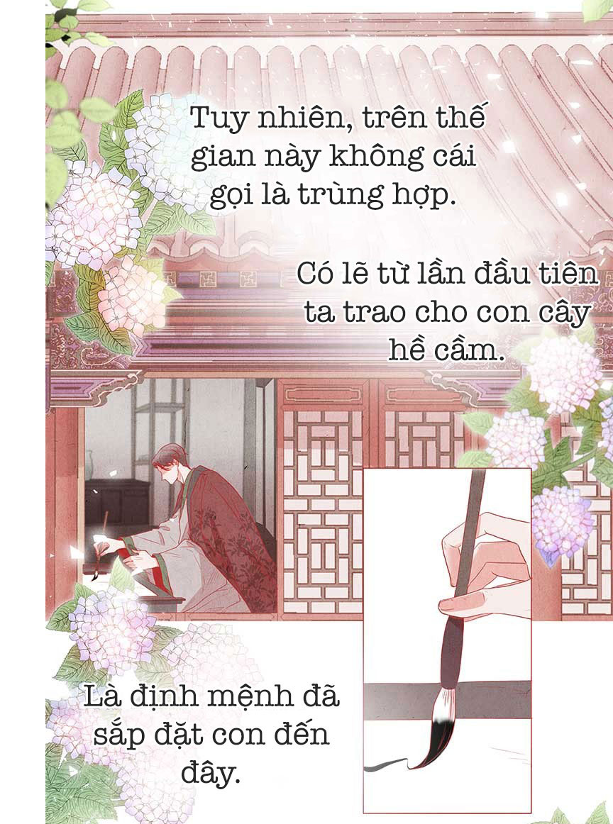 liệu rắn có ăn hoa chapter 1 48