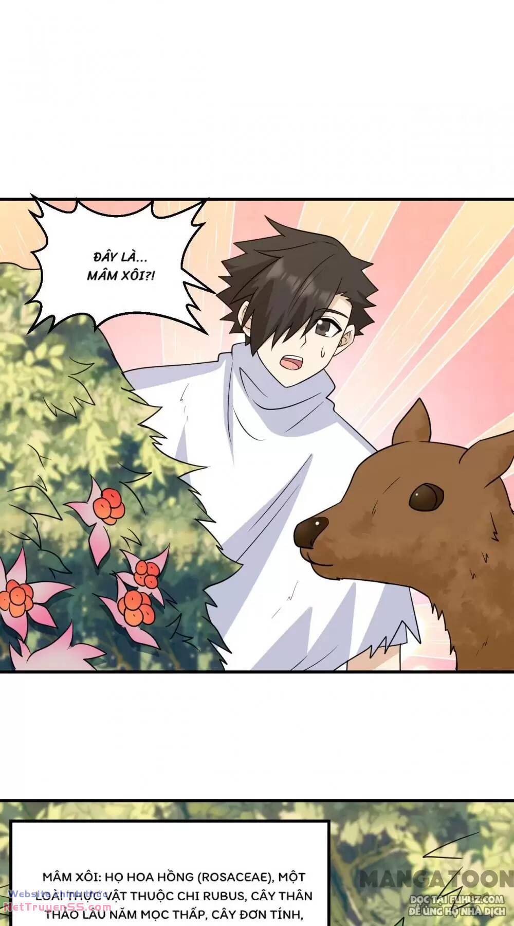 Tôi Sống Trên Hoang Đảo Cùng Các Em Gái chapter 232 11