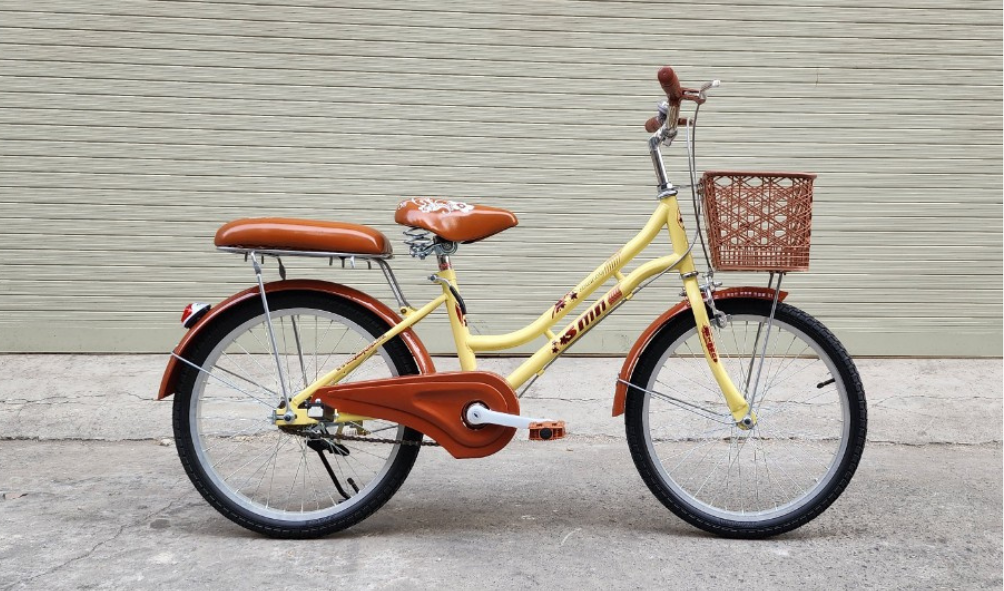 Xe đạp trẻ em SMNBike ESS 20-02 - 20 inch - Hàng chính hãng