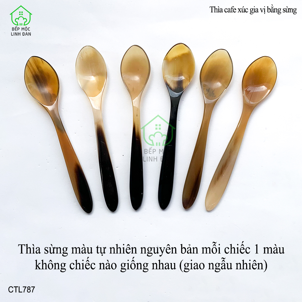 Muỗng Xúc Gia Vị Đồ Khô Bằng Sừng Tự Nhiên HAHANCO_Size 12.6cm [CTL787]