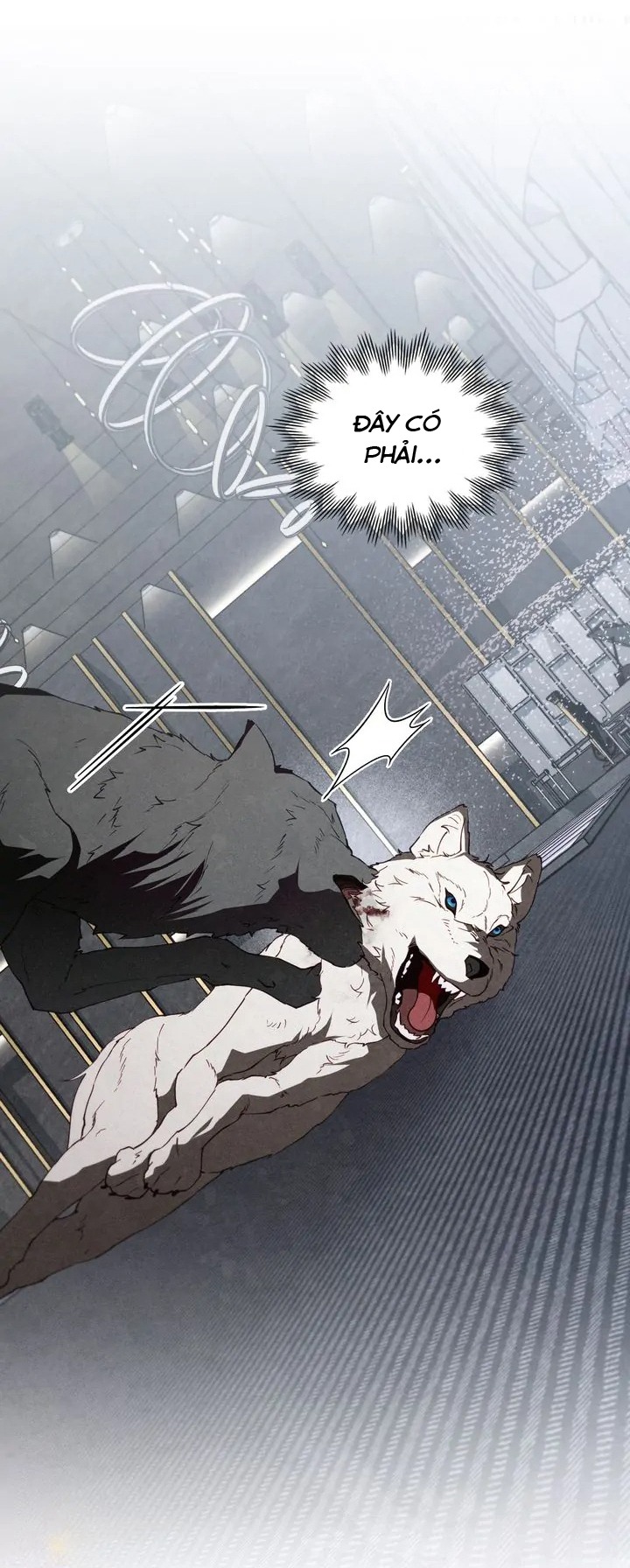 chàng người sói phát điên vì tôi chapter 56 24